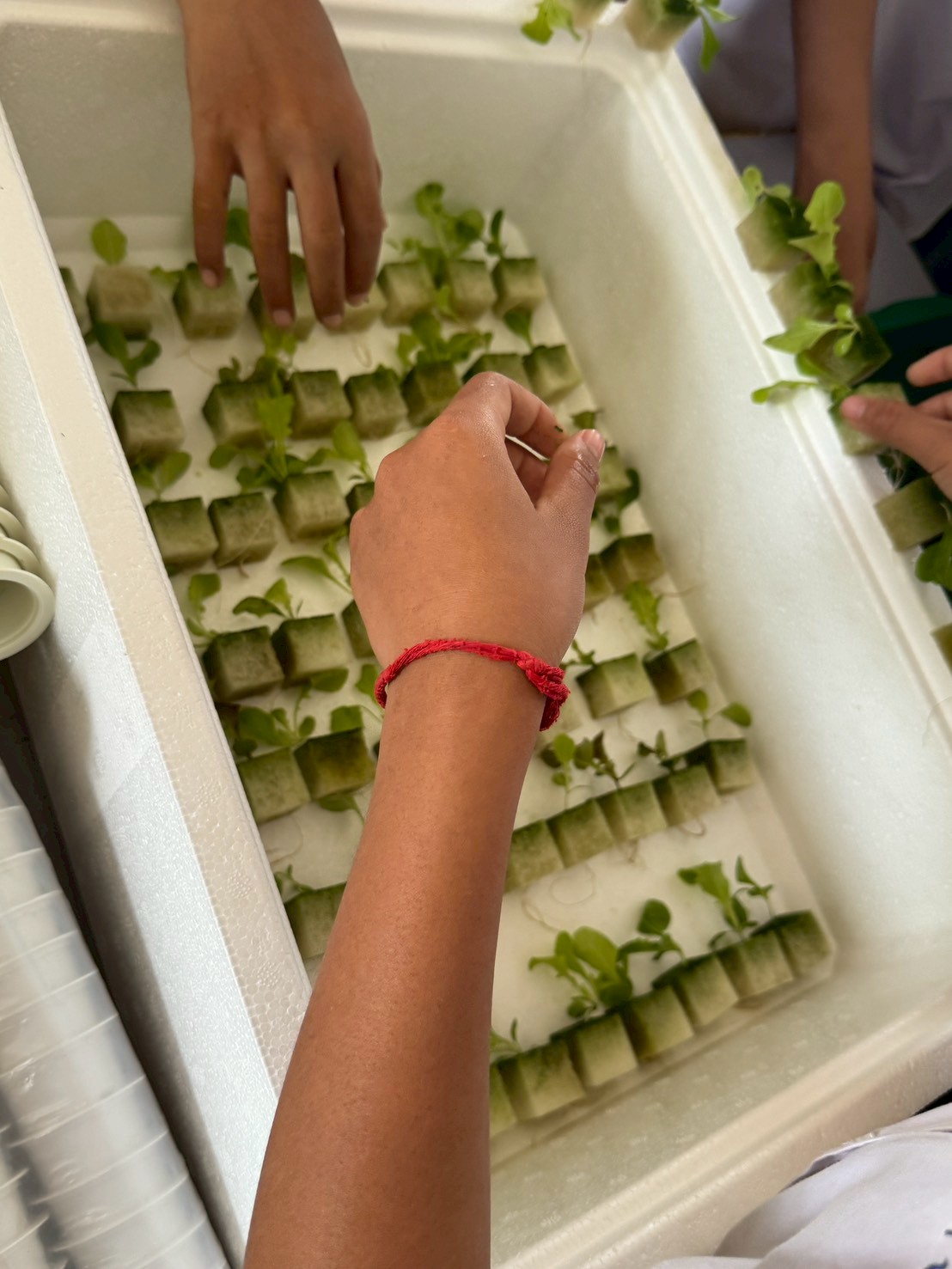 title - ส.ป.ก.จันทบุรี ดำเนินการฝึกอบรม โครงการเพิ่มศักยภาพระบบงานเกษตรภายใต้แผนพัฒนาเด็กและเยาวชนในถิ่นทุรกันดาร ตามพระราชดำริ สมเด็จพระเทพรัตนราชสุดาฯ สยามบรมราชกุมารี ประจำปีงบประมาณ พ.ศ. 2569 